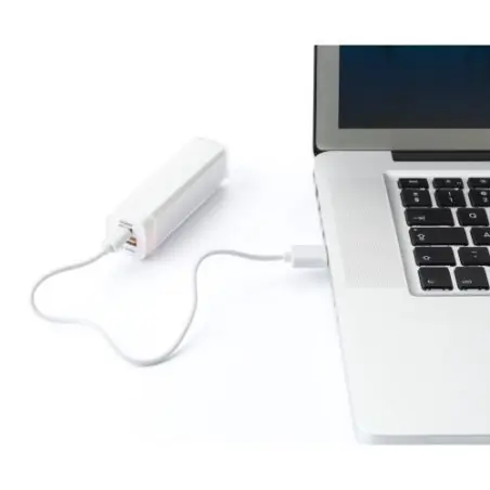 Chargeur en plastique 2200mAh Nia - Pratique et Efficace