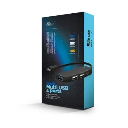 HUB RABS Multipport USB Type-C : Connectivité Simplifiée