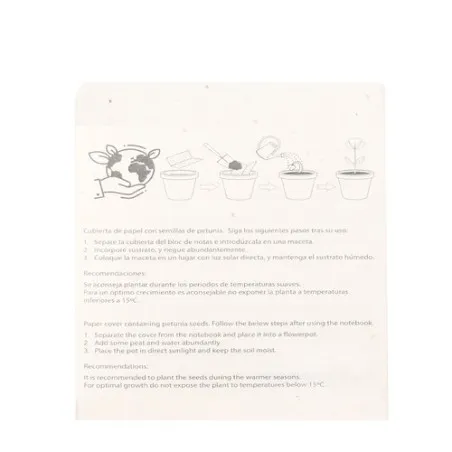 Set Ensemencé Elaris - Crayons Écologiques