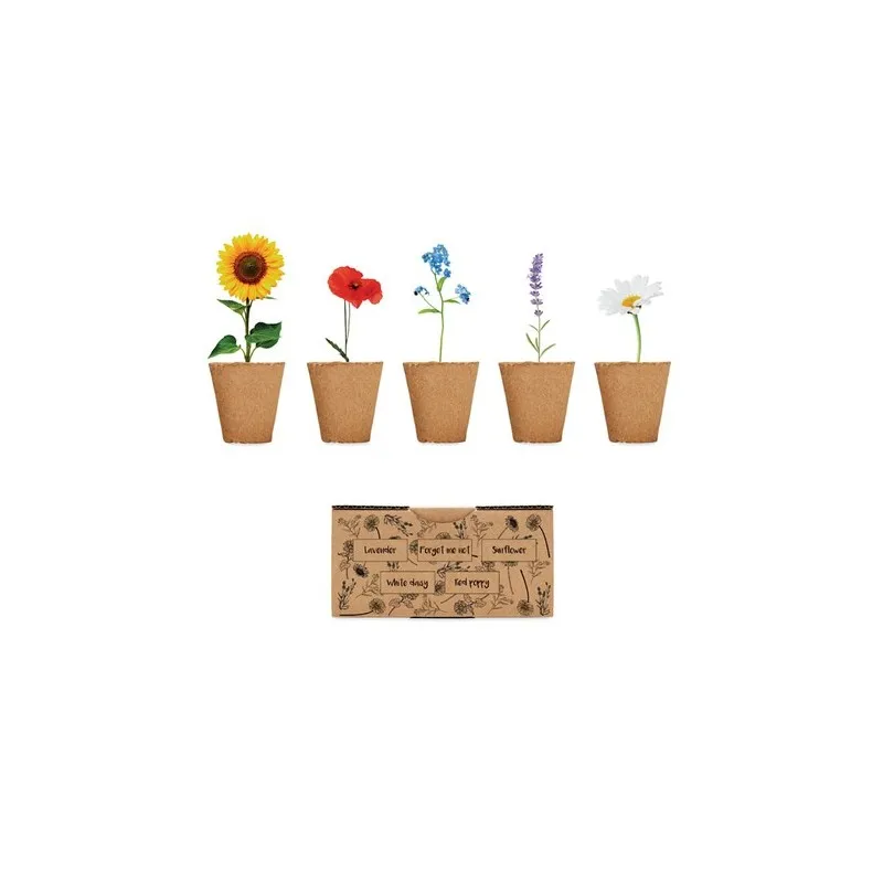 Kit de Culture de Fleurs - Éveillez votre Jardin