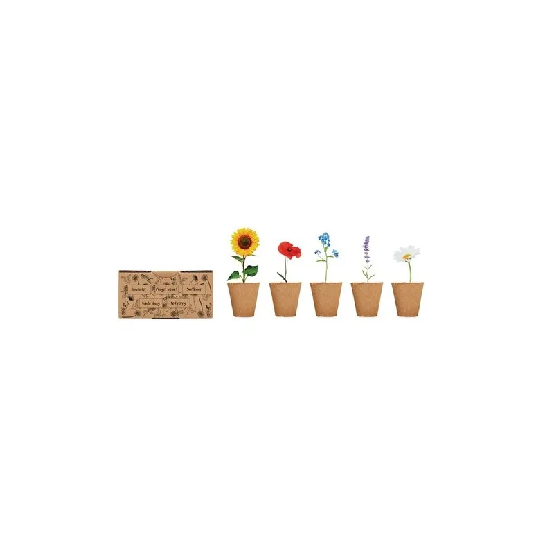 Kit de Culture de Fleurs - Éveillez votre Jardin
