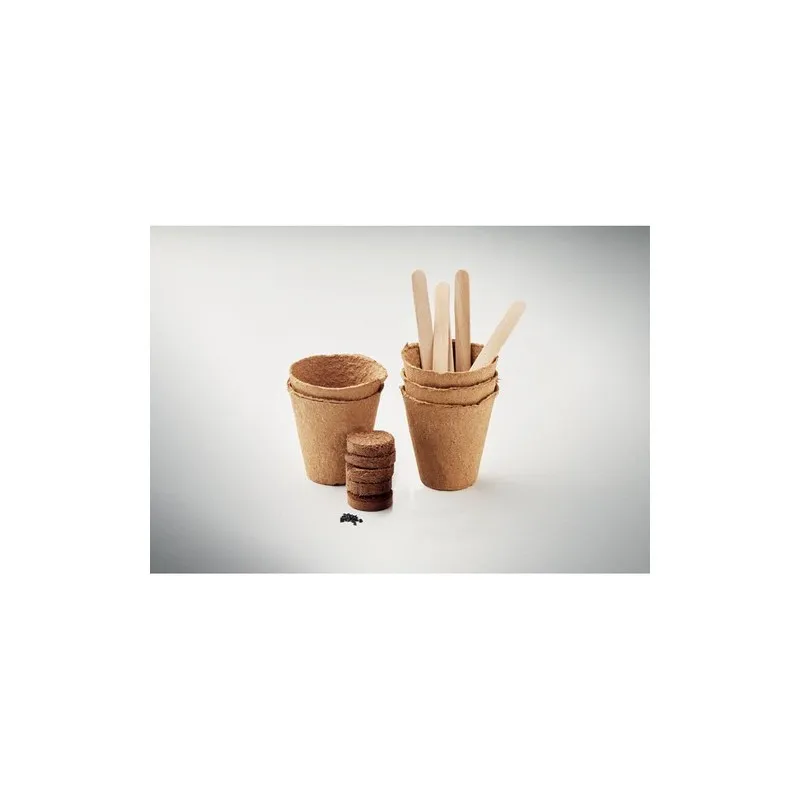 Kit de Culture de Fleurs - Éveillez votre Jardin