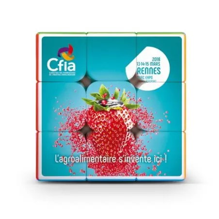 CUBE CASSE-TETE : Le jeu qui stimule vos neurones