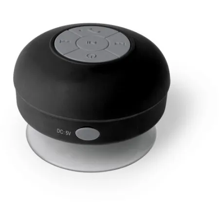 Haut-Parleur Rariax : Son de Qualité et Pratique