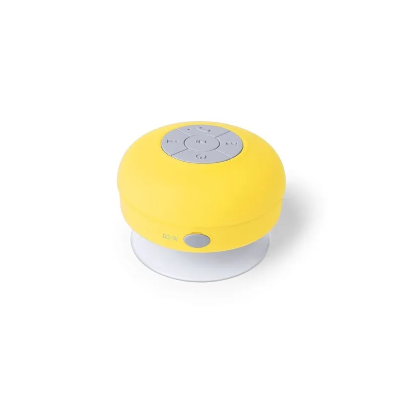 Haut-Parleur Rariax : Son de Qualité et Pratique