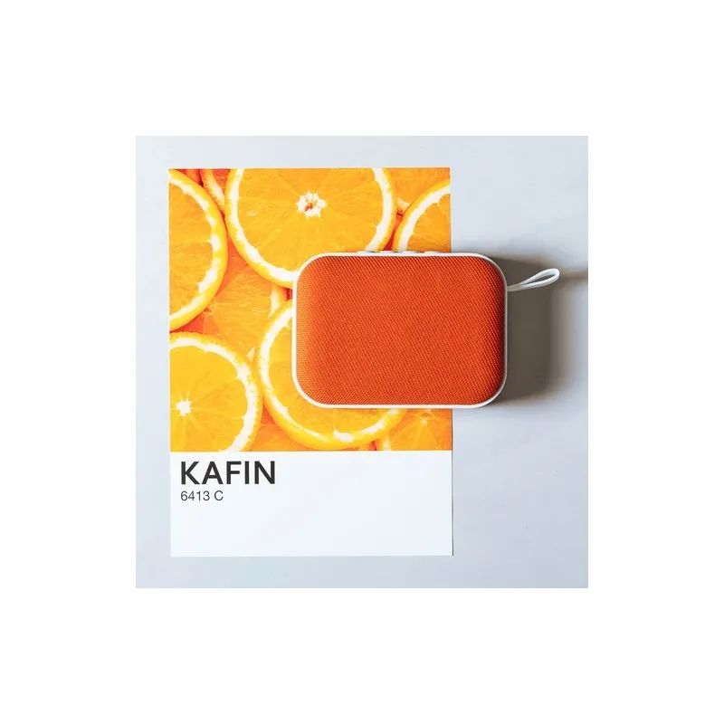 Haut-Parleur Kafin : Connectivité et Style