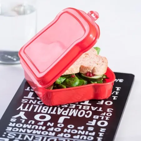 Gamelle Sandwich Noix - Lunchbox Colorée et Pratique