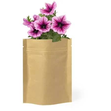 Pot de Fleurs Sober - Éveillez votre jardin