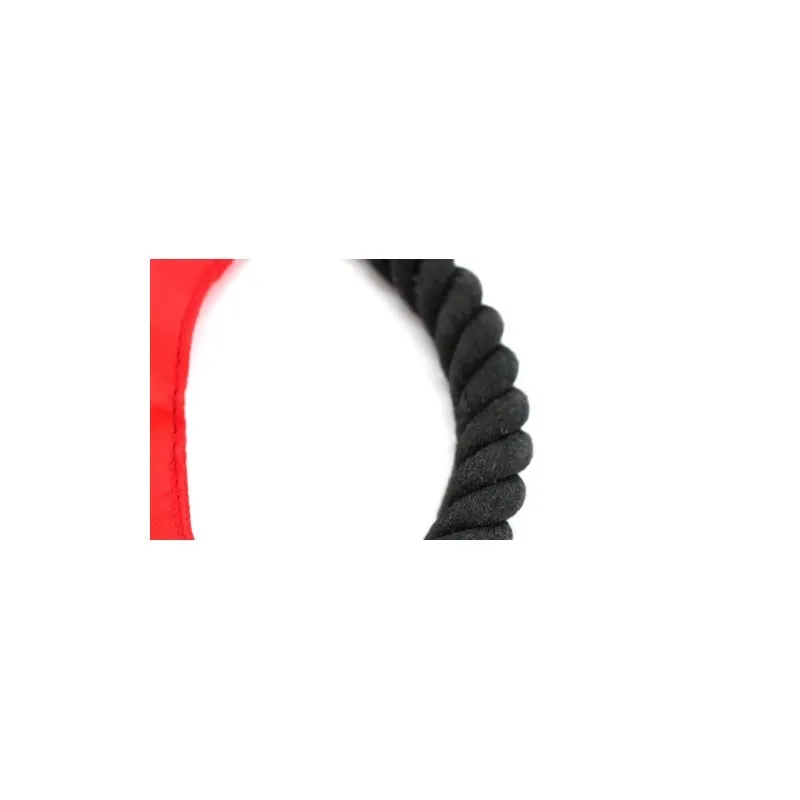 Frisbee Flybit : Le Jouet Idéal pour Vos Animaux