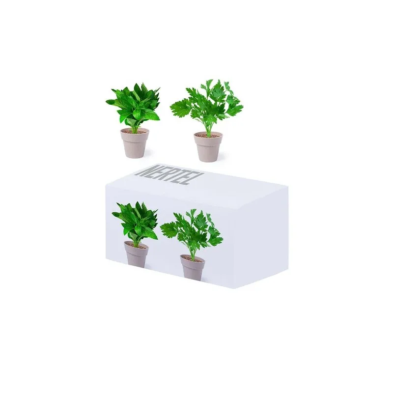 Set Pot de Fleurs Nertel - Vos Herbes Aromatiques