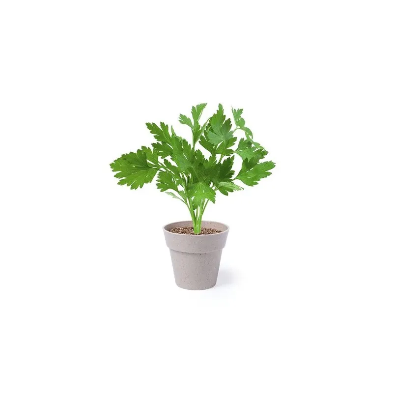 Set Pot de Fleurs Nertel - Vos Herbes Aromatiques