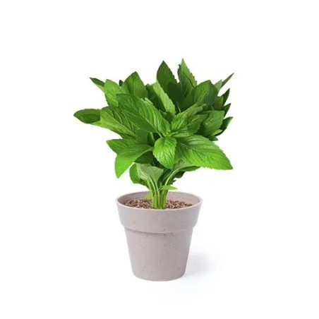 Set Pot de Fleurs Nertel - Vos Herbes Aromatiques