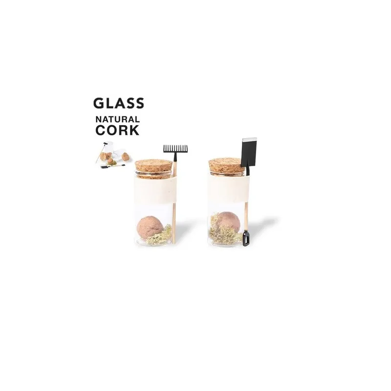 Bonbon Graines Winsu - Fleurs Sauvages en Bocal