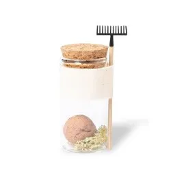 Bonbon Graines Winsu - Fleurs Sauvages en Bocal 2