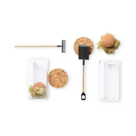 Bonbon Graines Winsu - Fleurs Sauvages en Bocal