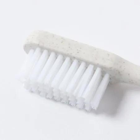 Brosse à Dents Duncan Écologique