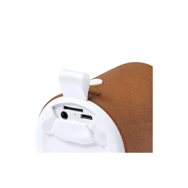 Haut-Parleur Sotep RCS - Écologique et Connecté