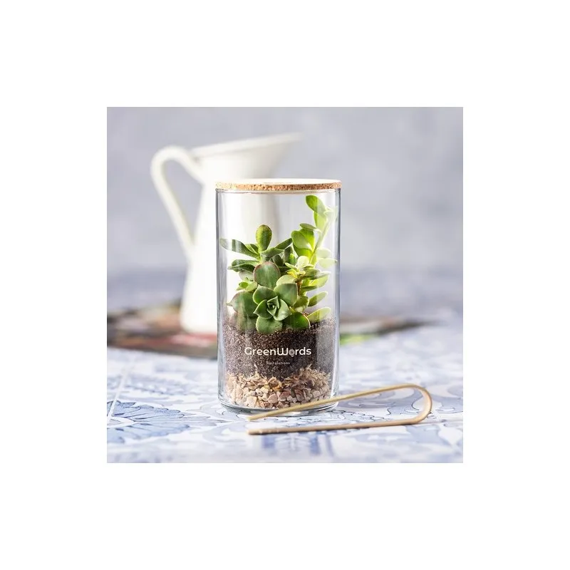 Terrarium Anymak : Mini Serre Écologique