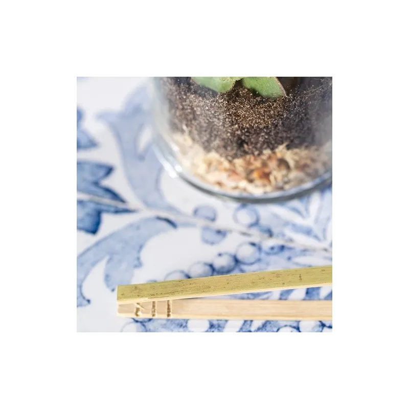 Terrarium Anymak : Mini Serre Écologique