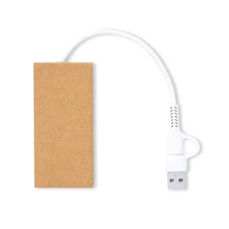 Port USB Hasgar - Écologique et Pratique