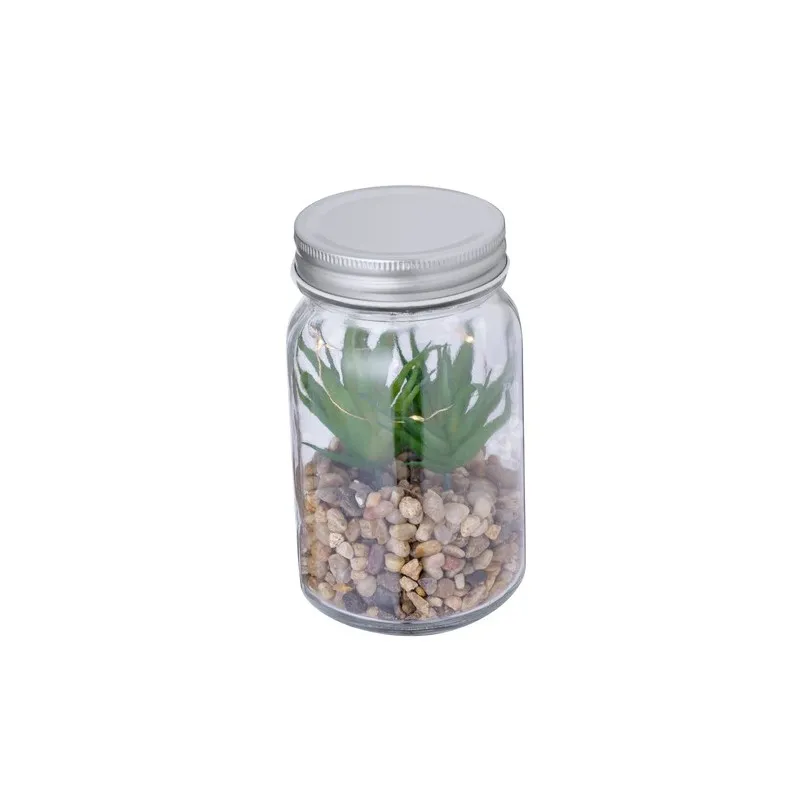 Plante Décorative Kyala - Élégance et Durabilité