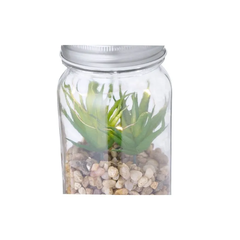 Plante Décorative Kyala - Élégance et Durabilité