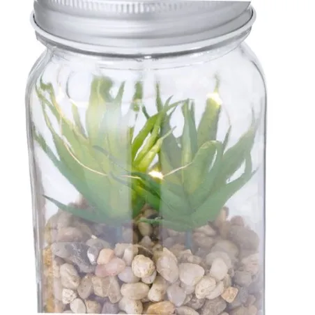 Plante Décorative Kyala - Élégance et Durabilité