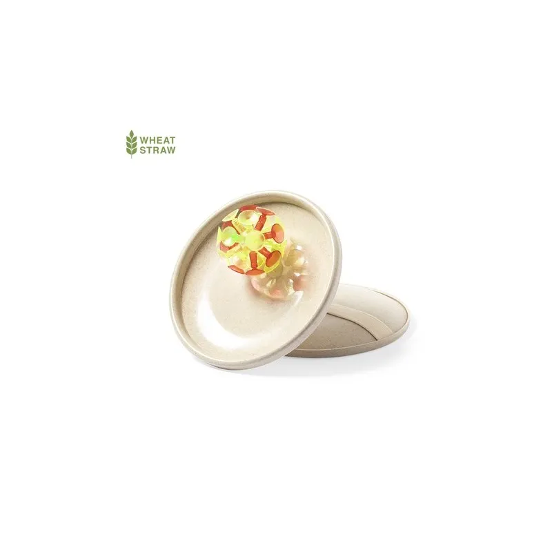 Jeu Croak - Amusement et Écologie en Plein Air