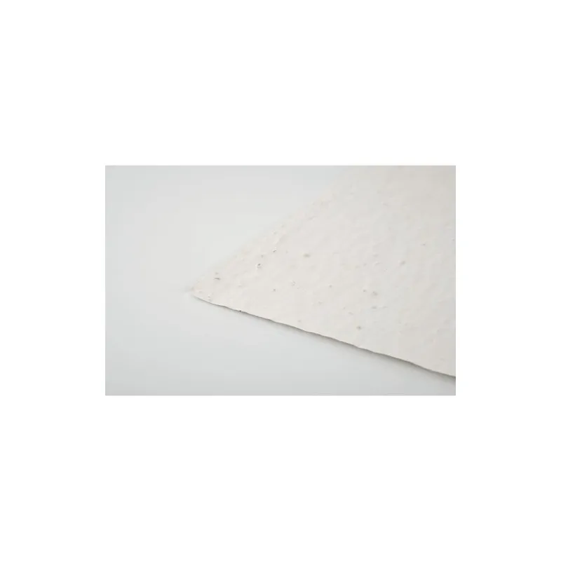 Papier A5 Graines de Fleurs ASIDE - Écologique et Unique