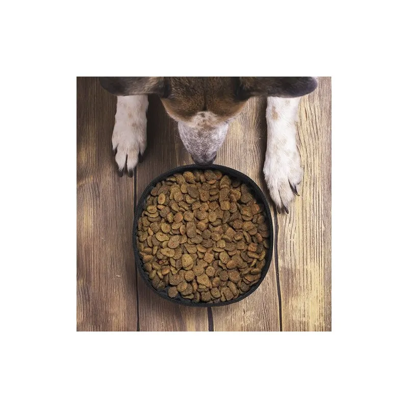 Bol Pliable Poppy : Écologique et Pratique