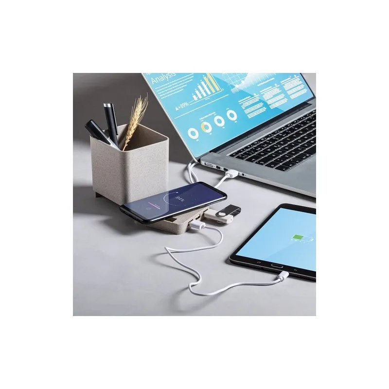 Porte-Crayons Multifonction Dowex 4 en 1