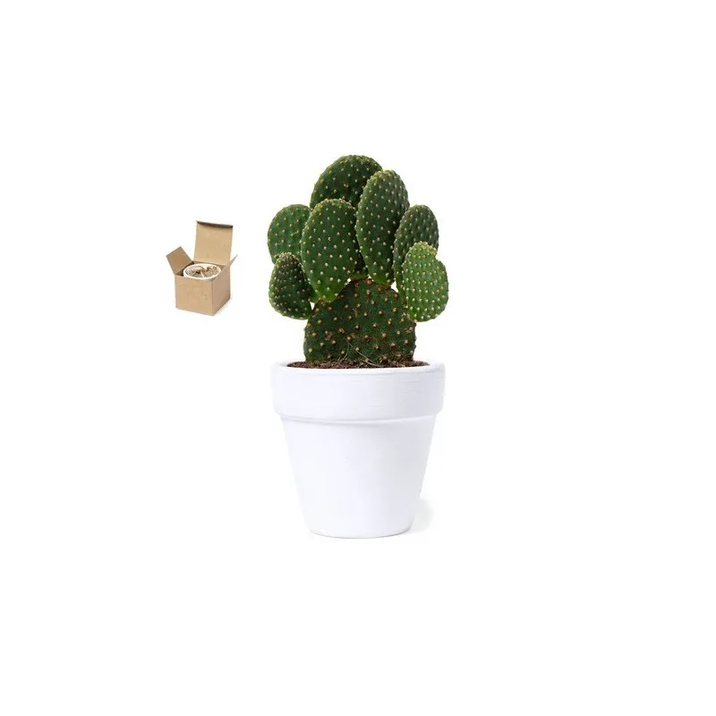 Pot de Fleurs Konte - Écologique et Pratique