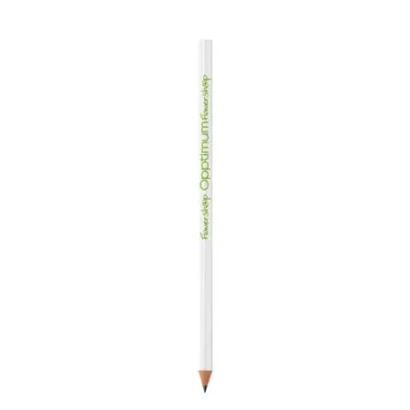 Crayon BIC® Evolution® Classic Ecolutions®