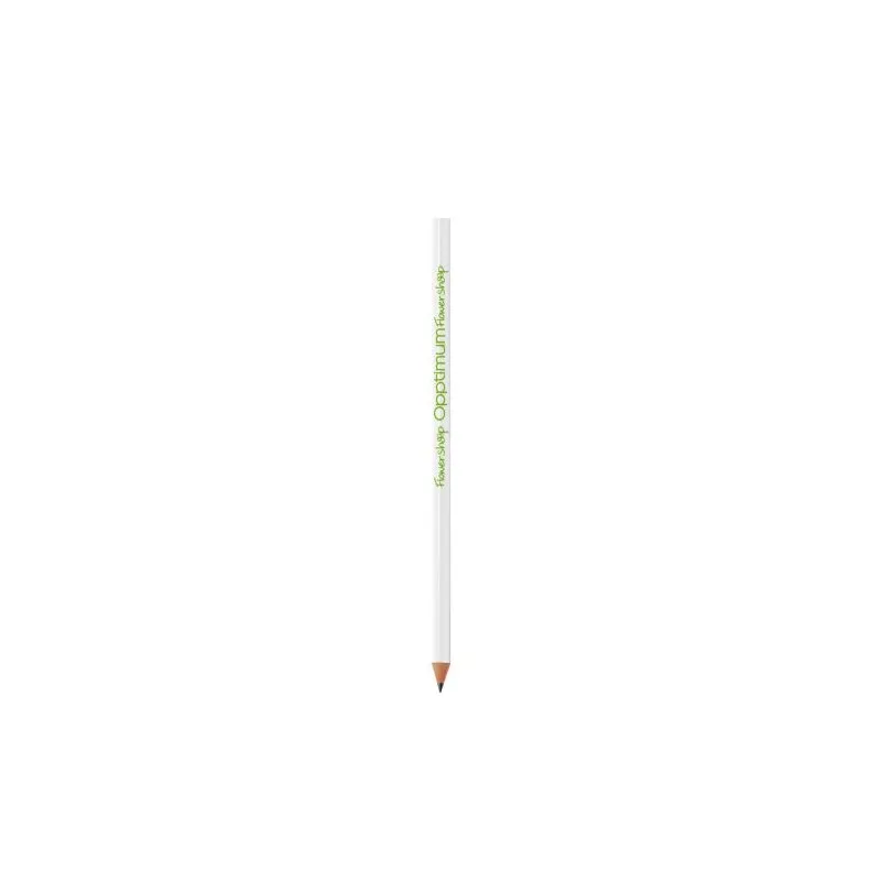 Crayon BIC® Evolution® Classic Cut Ecolutions®