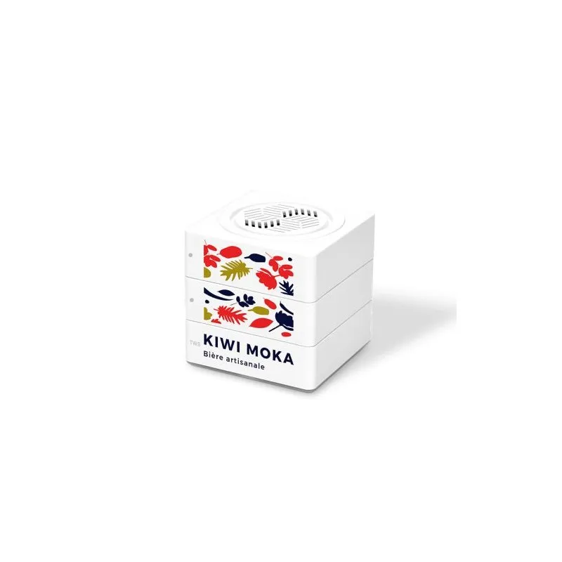 Enceinte Cube Haut-Parleur BT5.0 Sans Fil