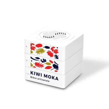 Enceinte Cube Haut-Parleur BT5.0 Sans Fil