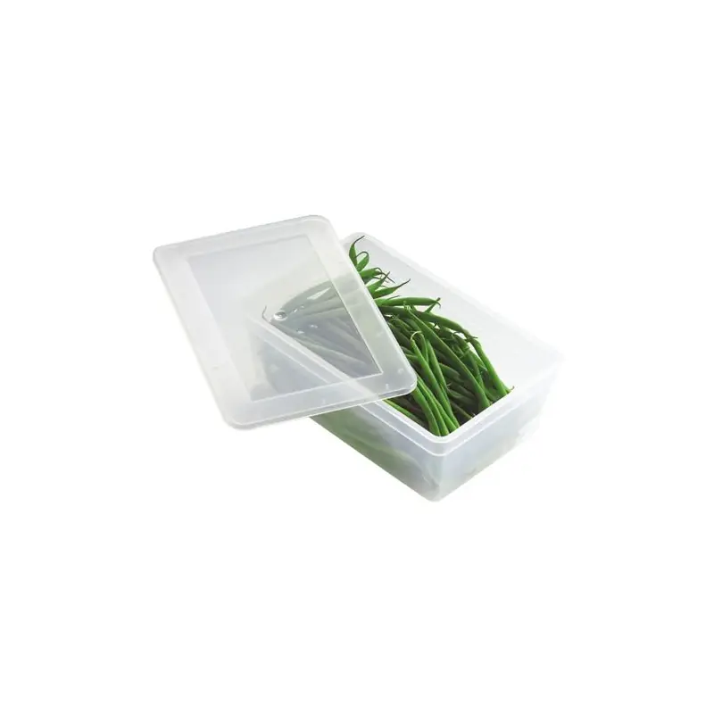 Boîte de Rangement et Lunch Box en Plastique PP