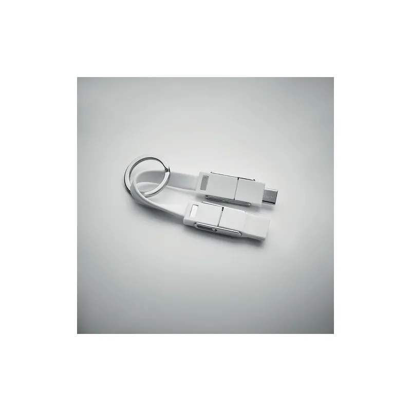 Porte-clés avec Câble 4 en 1 KEY C