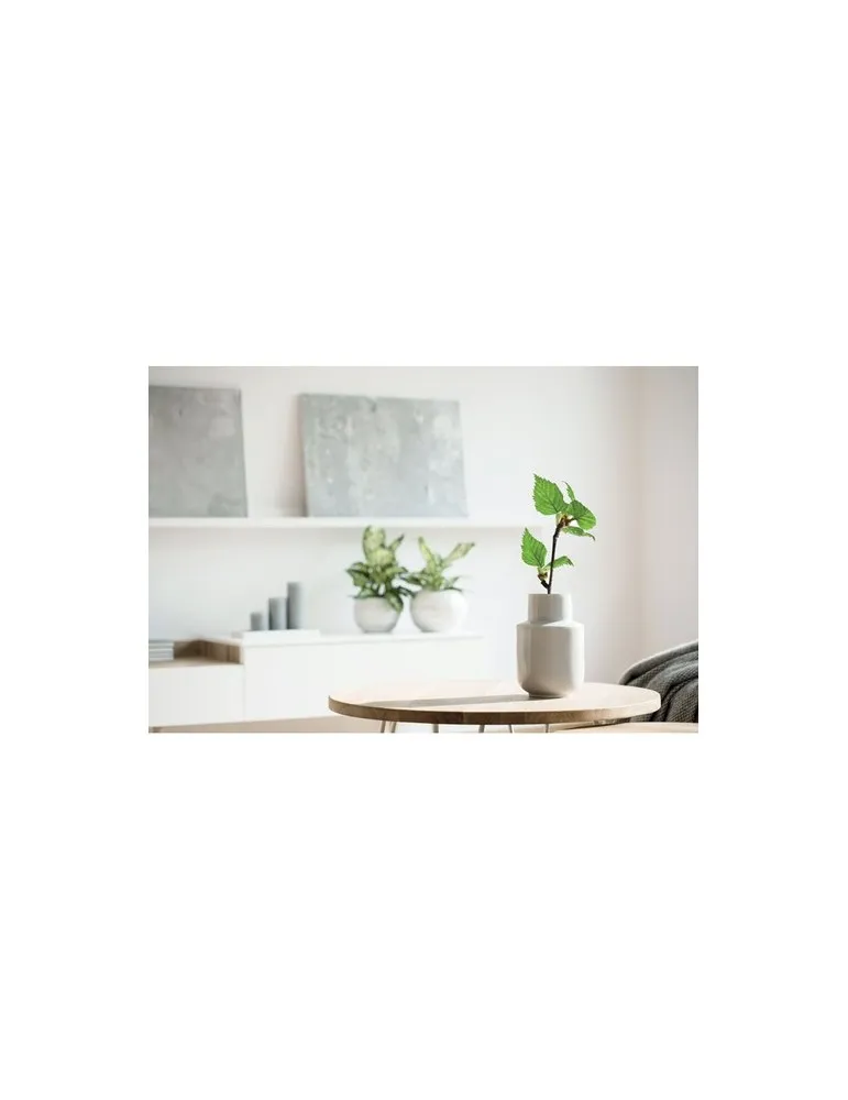 Carnet A5 GROWBOOK™ SAVAGE : Éveillez votre créativité