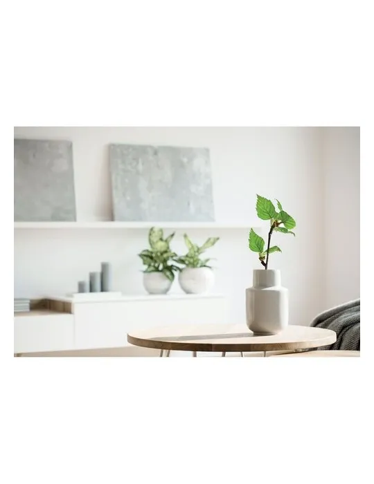 Carnet A5 GROWBOOK™ SAVAGE : Éveillez votre créativité