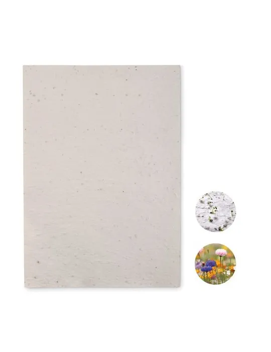 Papier A4 Graines de Fleurs ASIDI - Écologique et Pratique