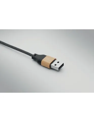 Câble de chargement 60W CABOO 2