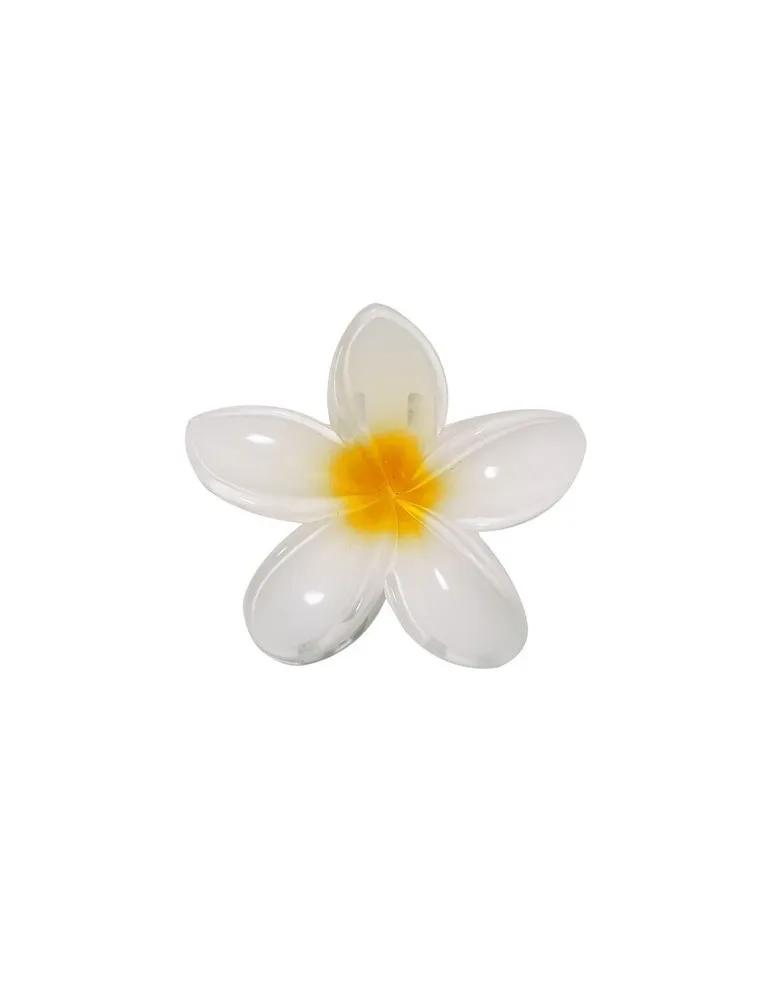 Pince à cheveux Tixcon