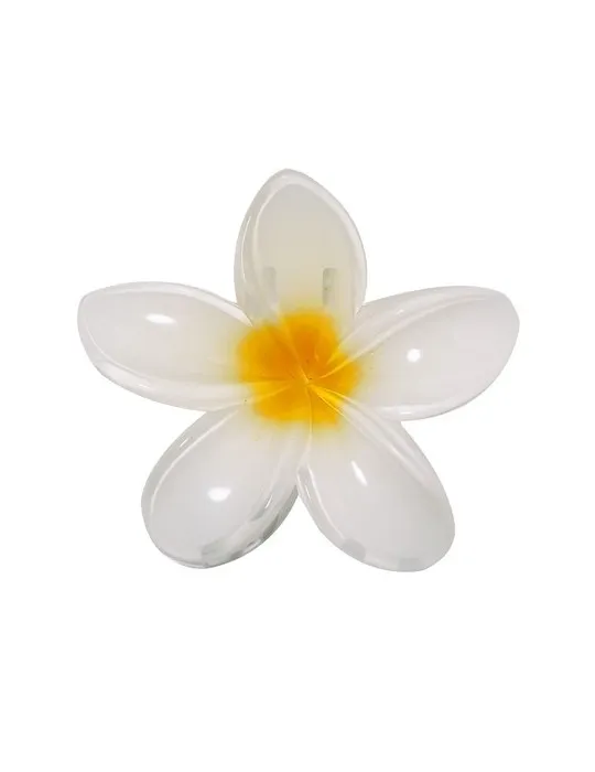 Pince à cheveux Tixcon