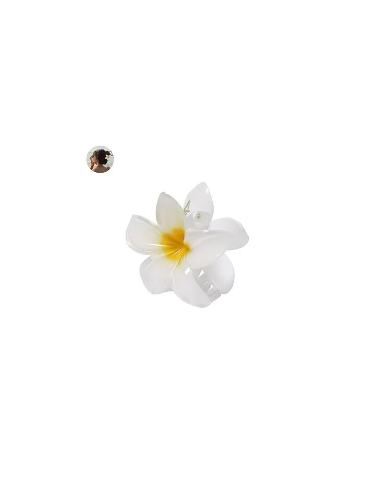 Pince à cheveux Tixcon