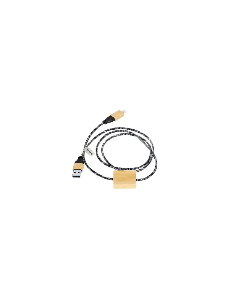 Câble de Charge Segers