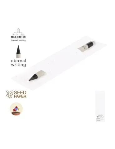 Crayon Éternel Stauton 2