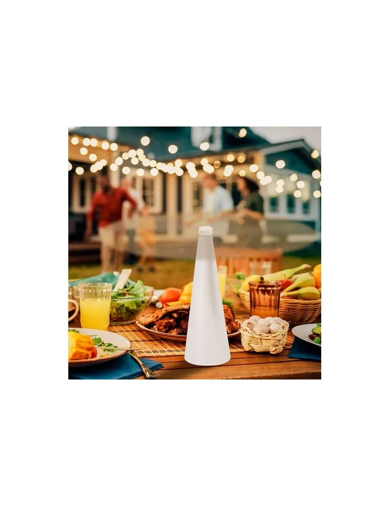 Ventilateur Anti-mouches Zuriko