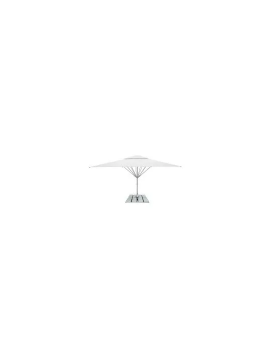 Parasol Giant