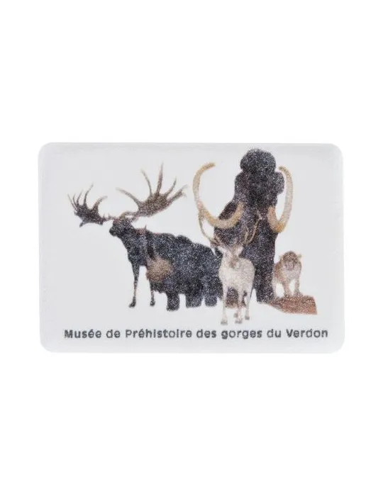 GOMME RECTANGULAIRE GM